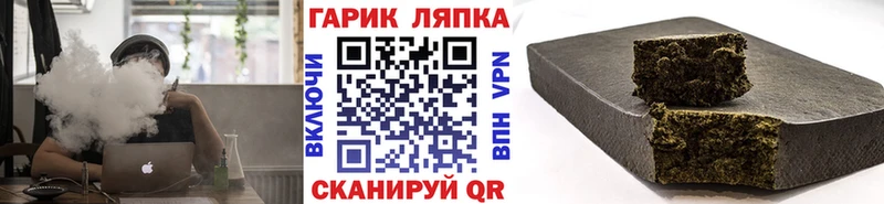 ГАШ Изолятор  дарнет шоп  Светогорск 