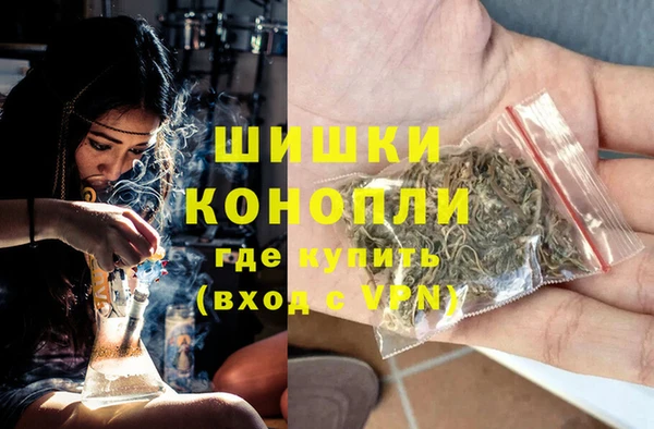 ГАЛЛЮЦИНОГЕННЫЕ ГРИБЫ Елабуга