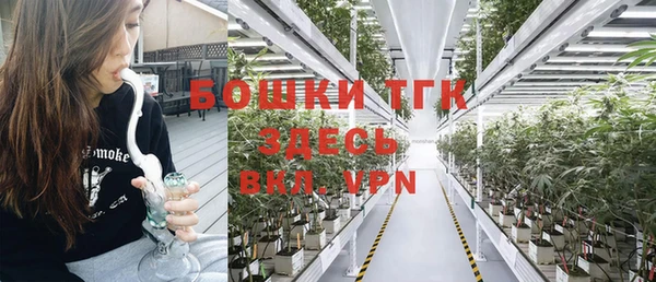 ГАЛЛЮЦИНОГЕННЫЕ ГРИБЫ Елабуга