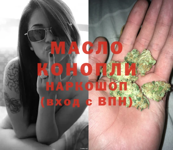 дмт Елизово