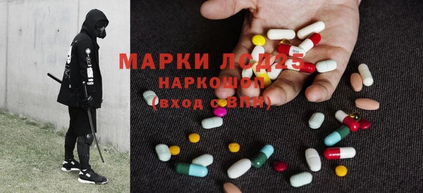 ГАЛЛЮЦИНОГЕННЫЕ ГРИБЫ Елабуга