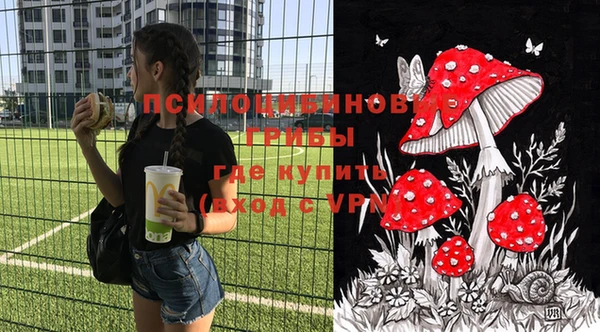 ГАЛЛЮЦИНОГЕННЫЕ ГРИБЫ Елабуга