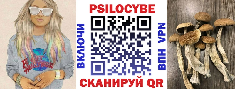 Галлюциногенные грибы мухоморы Светогорск