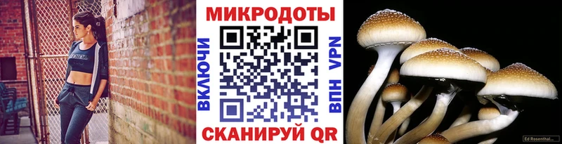 Псилоцибиновые грибы прущие грибы  купить  сайты  Светогорск 
